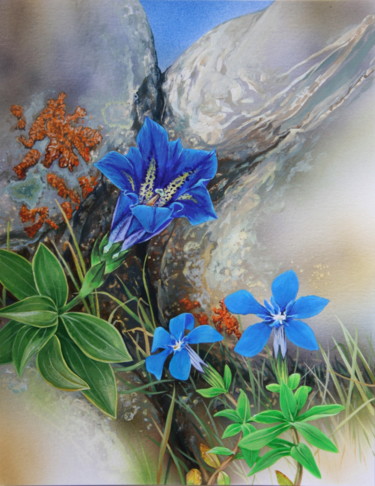 Painting titled "Flore des Pyrénées…" by Bernard Domange, Original Artwork, Acrylic
