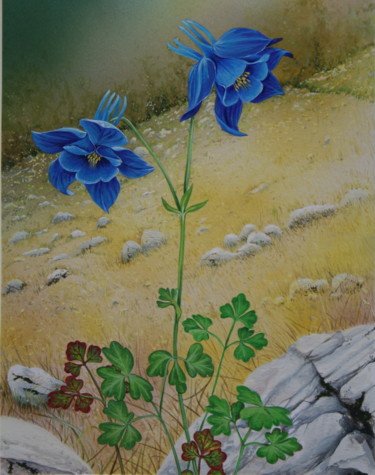 Peinture intitulée "Flore des Pyrénées…" par Bernard Domange, Œuvre d'art originale, Acrylique