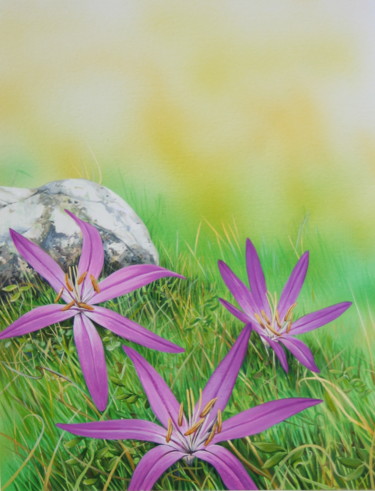 Painting titled "Flore des Pyrénées…" by Bernard Domange, Original Artwork, Acrylic