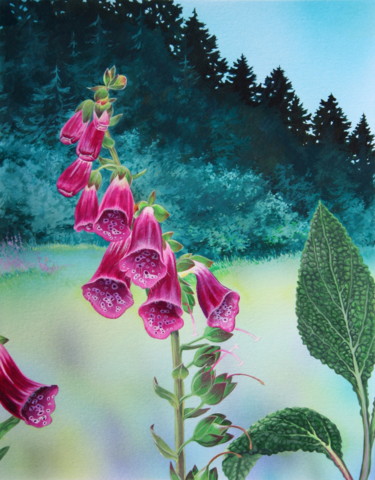 Картина под названием "Flore des Pyrénées…" - Bernard Domange, Подлинное произведение искусства, Акрил