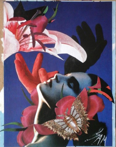 Collages titulada "LADY BUTTERFLY" por Sam De Beauregard, Obra de arte original, Collages Montado en Panel de madera