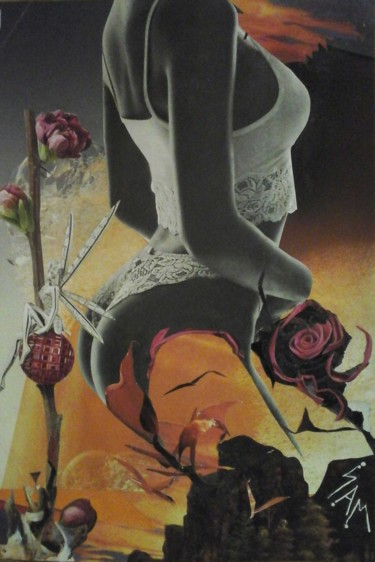 Collages intitulée "FLEURS ET DENTELLES" par Sam De Beauregard, Œuvre d'art originale, Collages Monté sur Carton