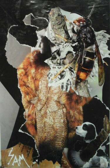 Collages intitulée "DANS LE NID DE L' I…" par Sam De Beauregard, Œuvre d'art originale, Collages Monté sur Carton