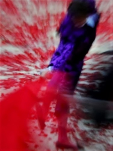 Фотография под названием "matador I" - Bernard Levy, Подлинное произведение искусства, Цифровая фотография