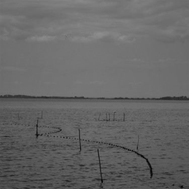 Photographie intitulée "étang de Vaccarès" par Bernard Levy, Œuvre d'art originale, Photographie numérique