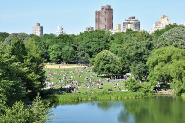 Photographie intitulée "walk in Central Park" par Bernard Levy, Œuvre d'art originale, Photographie numérique