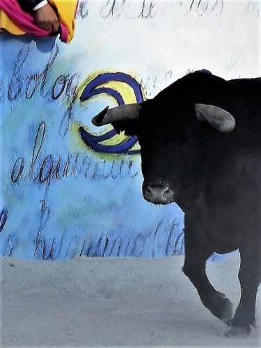 Fotografia intitolato "toro, los cuernos y…" da Bernard Levy, Opera d'arte originale, Fotografia digitale