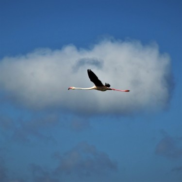 Photography titled "la tête dans les nu…" by Bernard Levy, Original Artwork, Digital Photography