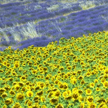 Fotografie getiteld "flowers for peace a…" door Bernard Levy, Origineel Kunstwerk, Digitale fotografie