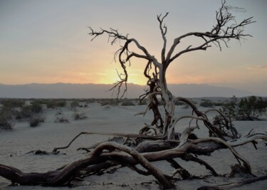 Fotografia zatytułowany „Sand dunes” autorstwa Bernard Levy, Oryginalna praca, Fotografia cyfrowa