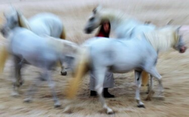 Photographie intitulée "le manège" par Bernard Levy, Œuvre d'art originale, Photographie numérique