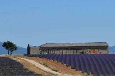 Fotografia intitulada "paysage de Provence" por Bernard Levy, Obras de arte originais, Fotografia digital