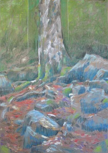 Pintura intitulada "Lonesome tree - arb…" por Bernard Marie Collet, Obras de arte originais, Pastel