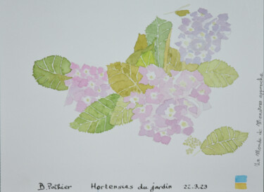Painting titled "Hortensias du jardin" by Bernard Pothier, Original Artwork, Watercolor