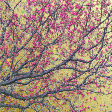 Digitale Kunst mit dem Titel "Salix Purpurea" von Bernard Pourchet, Original-Kunstwerk, 2D digitale Arbeit Auf Keilrahmen au…