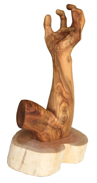 Sculpture intitulée "Crispation" par Bernard Sabathé, Œuvre d'art originale, Bois