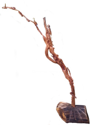 Скульптура под названием "Bancs-Publics-Sète" - Bernard Sabathé, Подлинное произведение искусства, Дерево