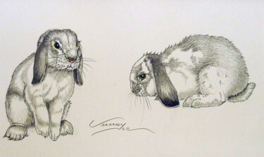 Drawing titled "Lapin bélier" by Bernard Vercruyce, Original Artwork, Pencil