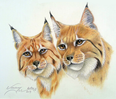 Dessin intitulée "Lynx" par Bernard Vercruyce, Œuvre d'art originale, Pastel