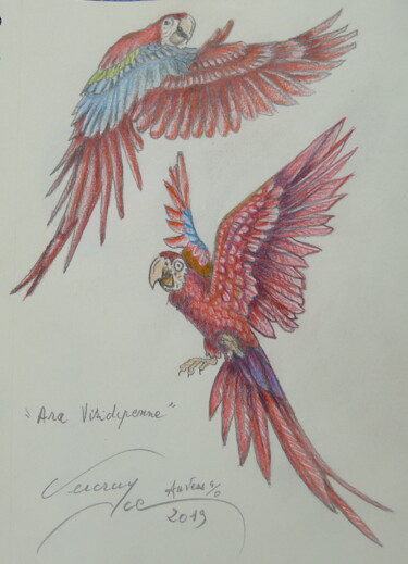 Disegno intitolato "Aras" da Bernard Vercruyce, Opera d'arte originale, Pastello
