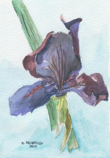 Peinture intitulée "aquarelle iris de m…" par Bernard Faucheux, Œuvre d'art originale, Huile