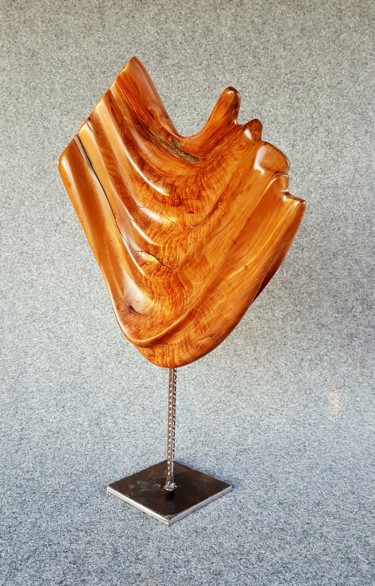 Sculpture intitulée "Plissement" par Bernard Geoffroy, Œuvre d'art originale, Bois