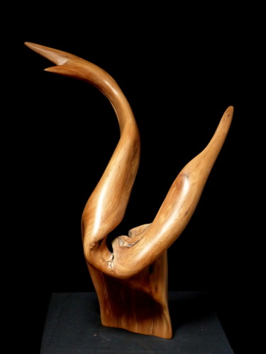 Sculpture titled "Cygne" by Bernard Geoffroy, Original Artwork, Wood