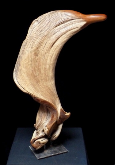 Sculpture intitulée "Dauphin" par Bernard Geoffroy, Œuvre d'art originale, Bois