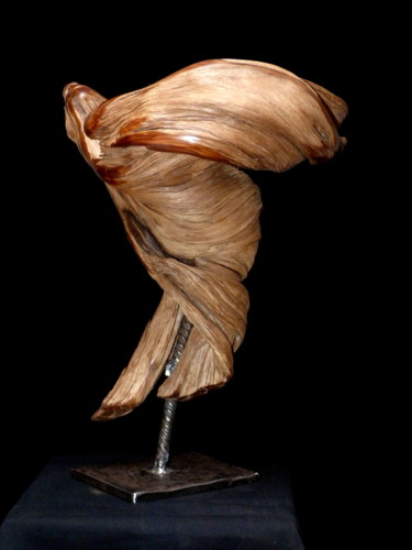 Sculpture intitulée "Vortex" par Bernard Geoffroy, Œuvre d'art originale, Bois