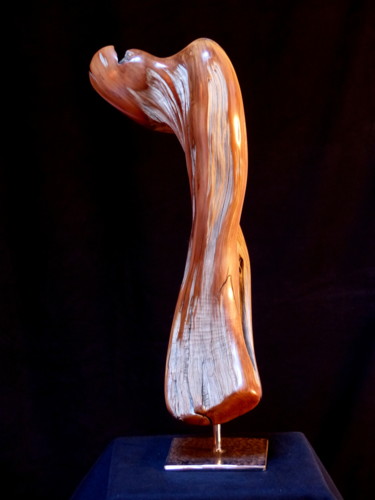 Skulptur mit dem Titel "vieillesse ennemie" von Bernard Geoffroy, Original-Kunstwerk, Holz