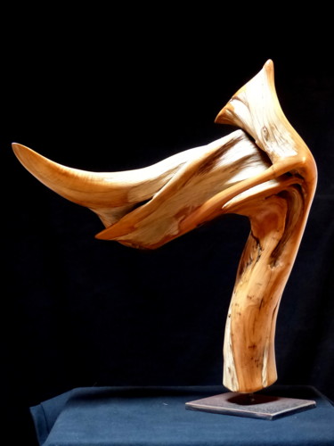 Sculpture titled "Epervier" by Bernard Geoffroy, Original Artwork, Wood