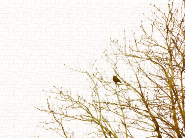 Fotografie mit dem Titel "The blackbird Febru…" von Bernard Liotier, Original-Kunstwerk