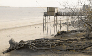 Fotografie mit dem Titel "River bank, plaices…" von Bernard Liotier, Original-Kunstwerk