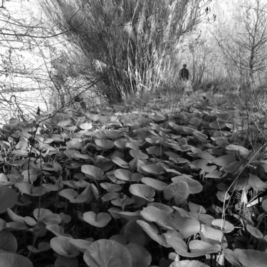 Photographie intitulée "S00977-3-1-1" par Bernard Liotier, Œuvre d'art originale, Photographie numérique