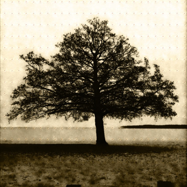 S00582-1-4-4-7-4-18-10-41-1-1 Photographie intitulée "S00582-1-4-4-7-4-18…" par Bernard Liotier, Œuvre d'art originale, Photographie numérique