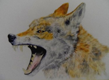 Peinture intitulée "Loup hurlant" par Bernard Massias, Œuvre d'art originale, Aquarelle