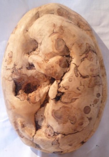 Sculpture titled "foetus" by B  Vedrine, Original Artwork, Wood