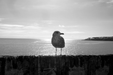 Fotografia intitulada "Il parle aux oiseau…" por Bernard Vergier, Obras de arte originais