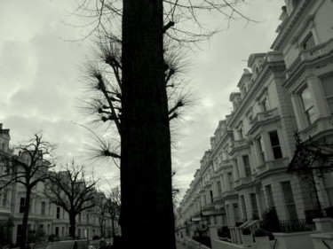 Fotografie mit dem Titel "l'arbre qui cache l…" von Bernard Vergier, Original-Kunstwerk