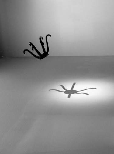 Fotografie mit dem Titel "petite araignée.(co…" von Bernard Vergier, Original-Kunstwerk