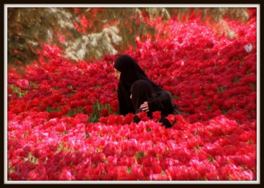 Photographie intitulée "mille et une roses.…" par Bernard Vergier, Œuvre d'art originale