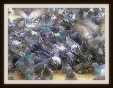 Photographie intitulée "pigeons volent(dans…" par Bernard Vergier, Œuvre d'art originale