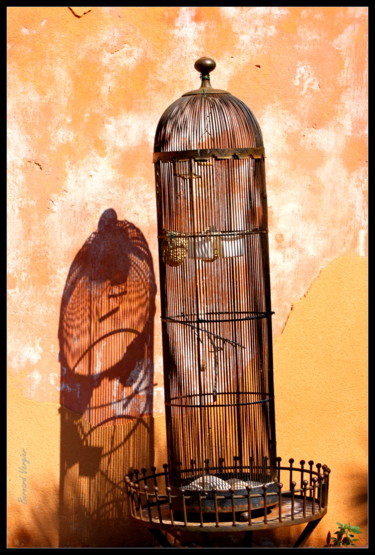 Фотография под названием "cage.(collection ec…" - Bernard Vergier, Подлинное произведение искусства