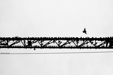 Photographie intitulée "vol au dessus d'un…" par Bernard Vergier, Œuvre d'art originale
