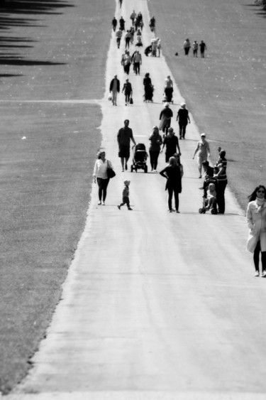 Photographie intitulée "traverser le chemin…" par Bernard Vergier, Œuvre d'art originale