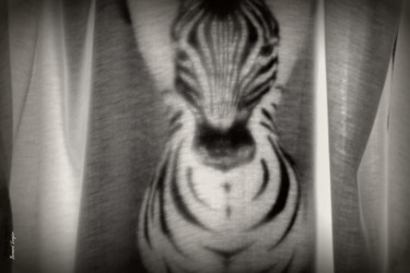 Photographie intitulée "drôle de zebre.(col…" par Bernard Vergier, Œuvre d'art originale