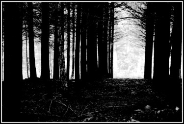 Photographie intitulée "promenons nous dans…" par Bernard Vergier, Œuvre d'art originale