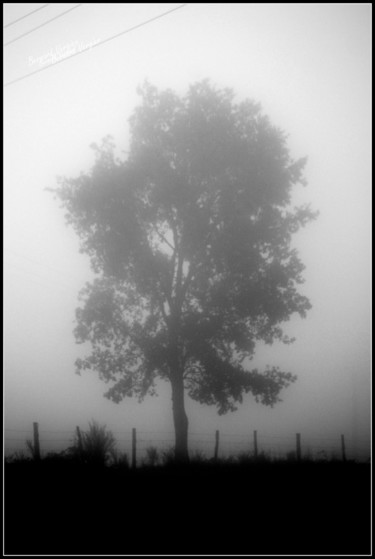 Photographie intitulée "Brouillard.(collect…" par Bernard Vergier, Œuvre d'art originale