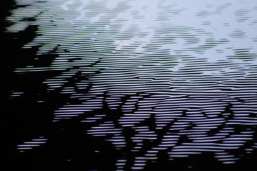 microsillon.( collection ballades des sens et des hallucinations Photographie intitulée "microsillon.( colle…" par Bernard Vergier, Œuvre d'art originale,