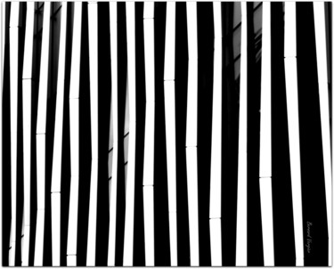 Fotografia intitulada "zebre urbain.(colle…" por Bernard Vergier, Obras de arte originais